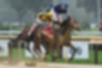 Immersive at Her Spinaway Victory in Saratoga / ADAM COGLIANESE / NYRA