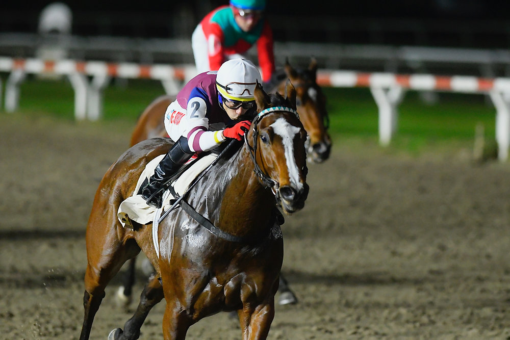 Bayonne Impresses in Confident Victory, Suggesting Bigger Things Ahead