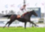 Fiesta Porteña comes off a strong win in the Clásico Omega / JUAN I. BOZZELLO