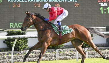 Canterbury preview: Signor Tortoni to add to long partnership
