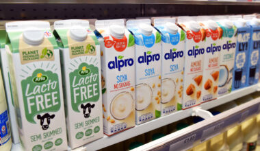 Plant-based milk not 'nutritionally equivalent' to cows' milk, experts say