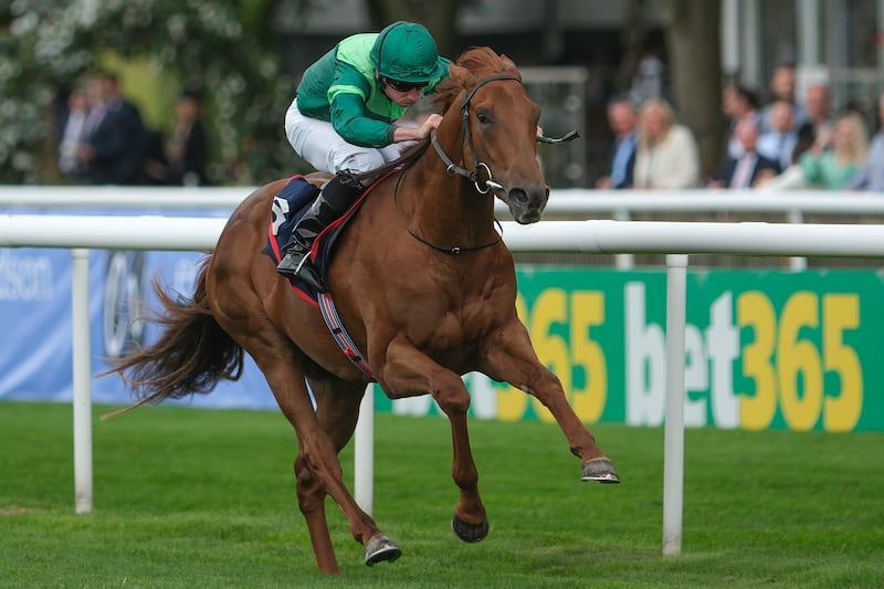Whistlejacket won the July Stakes at the Newmarket meeting as a two-year-old. Photograph: Alan Crowhurst/Getty Images