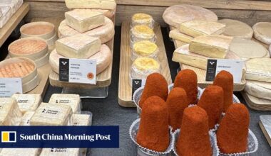 How to find the best French cheese for you: an expert’s guide to cheese shopping in France