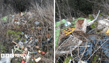 Waste, including fruit and veg, a mower, cardboard boxes and plastic sheeting, dumped on a rural lane.