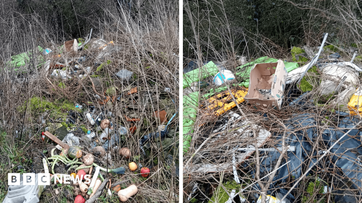 Waste, including fruit and veg, a mower, cardboard boxes and plastic sheeting, dumped on a rural lane.