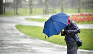 Wales Online