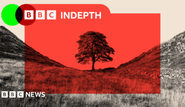 BBC InDepth