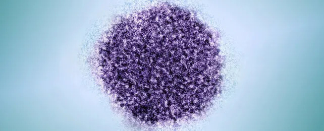 Hepatitis C Virus