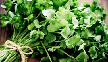 Why does cilantro taste like soap? And what nutrients does it offer?