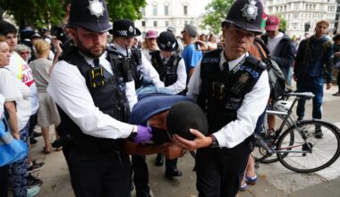 Police make arrests at protest backing banned terror group Palestine Action - London Evening Standard