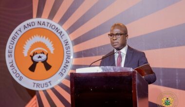 Diversify investments, strengthen governance post-DDEP