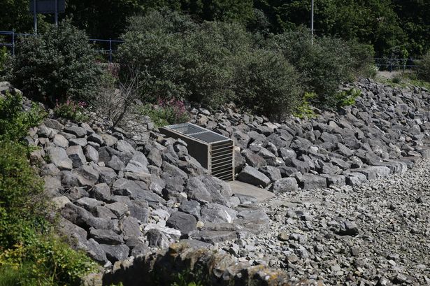 A sewage overflow on a rocky beach