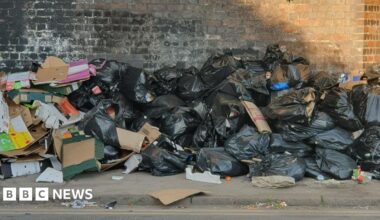 Piles of black bin bags, cardboard and other litter against a dark wall near a kerbside. There are about 30 bin bags in the picture.