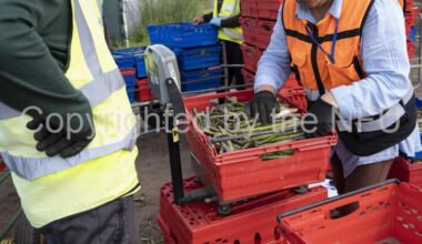 Employer Pays Principle – register for webinar – NFUonline