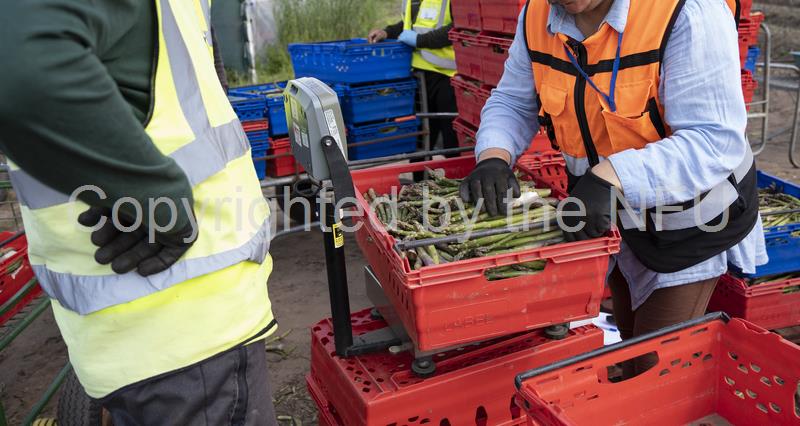 Employer Pays Principle – register for webinar – NFUonline