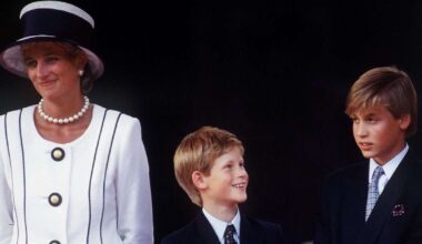 Princess Diana 'Willingly Gave Up' Harry and William to the Royal Family, Claims Former Butler