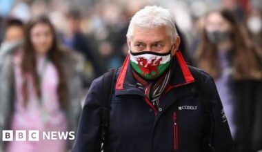 Plaid Cymru would hold Covid inquiry if it wins next election