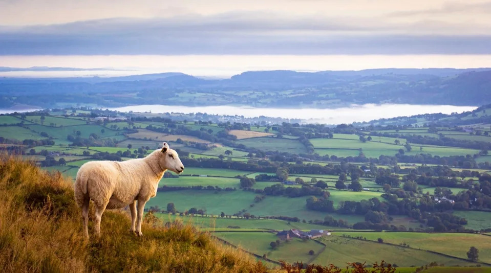 Monmouthshire was recognised as the best place to retire in Wales (Getty/iStock)
