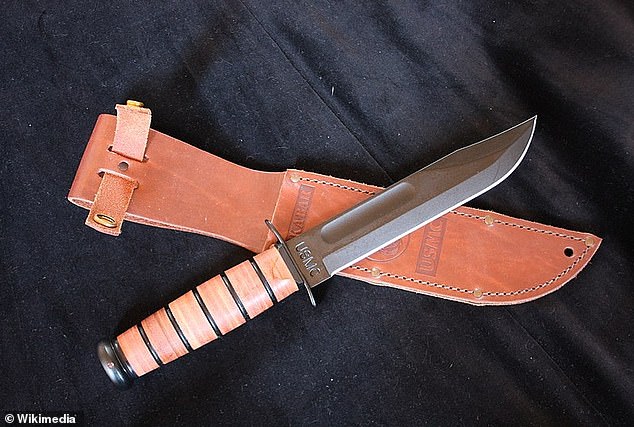 DNA was found on a Ka-Bar knife sheath (seen in a stock image) left behind at the scene