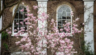 Average London rent surges to £2,252 a month
