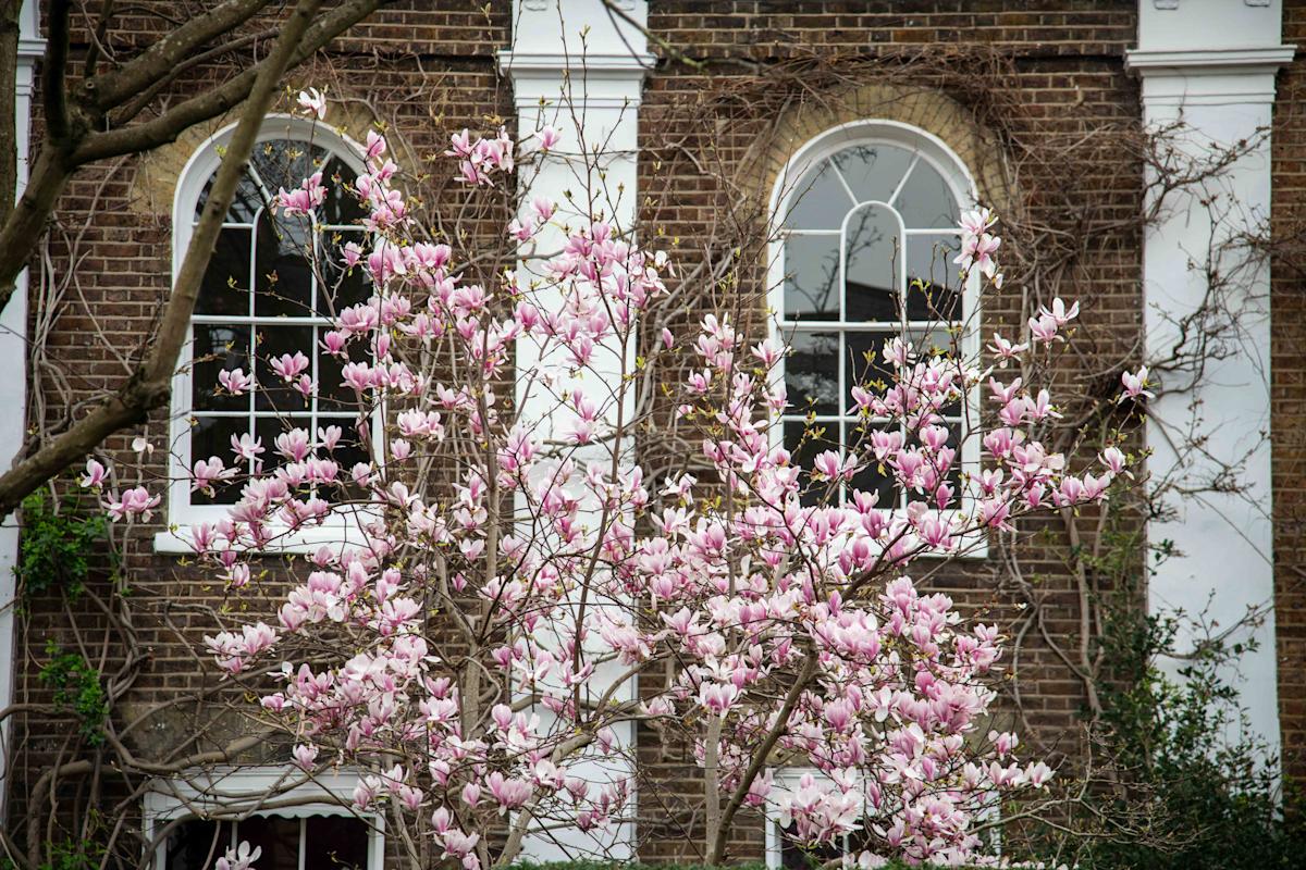 Average London rent surges to £2,252 a month