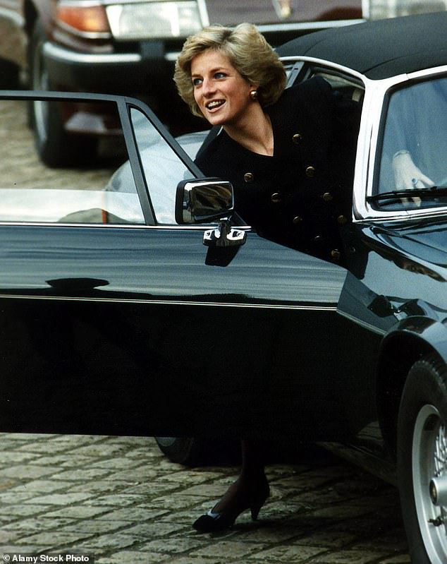 Diana learnt basic 'basic techniques' about how to handle a potential terrorist attack or kidnapping plot
