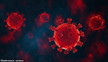 Stratus¿technically called XFG¿is thought to be more infectious than previous Covid strains due to mutations its developed that help it evade the immune system. Stock image