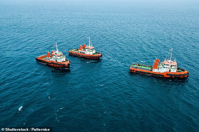 Scientists say just 30-50 converted tugboats or other vessels could be enough to drive the entire AMOC current if deployed in the correct location (stock image)