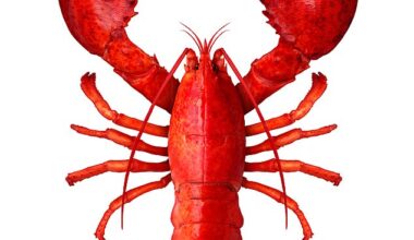 Pincers out: The Chancellor is set to both cut the annual cash Isa allowance and freeze the tax-free annual personal savings allowance for another year