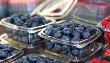 You might think giving your blueberries a quick rinse before eating them is a smart and healthy thing to do, but experts have warned that it could actually be a crucial mistake (stock image)