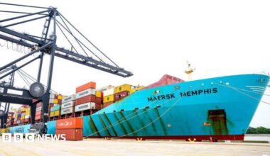 Large wharf cranes load and unload cargo ships at the Port Houston Bayport Container Terminal on Tuesday, May 7, 2024, in Pasadena.
