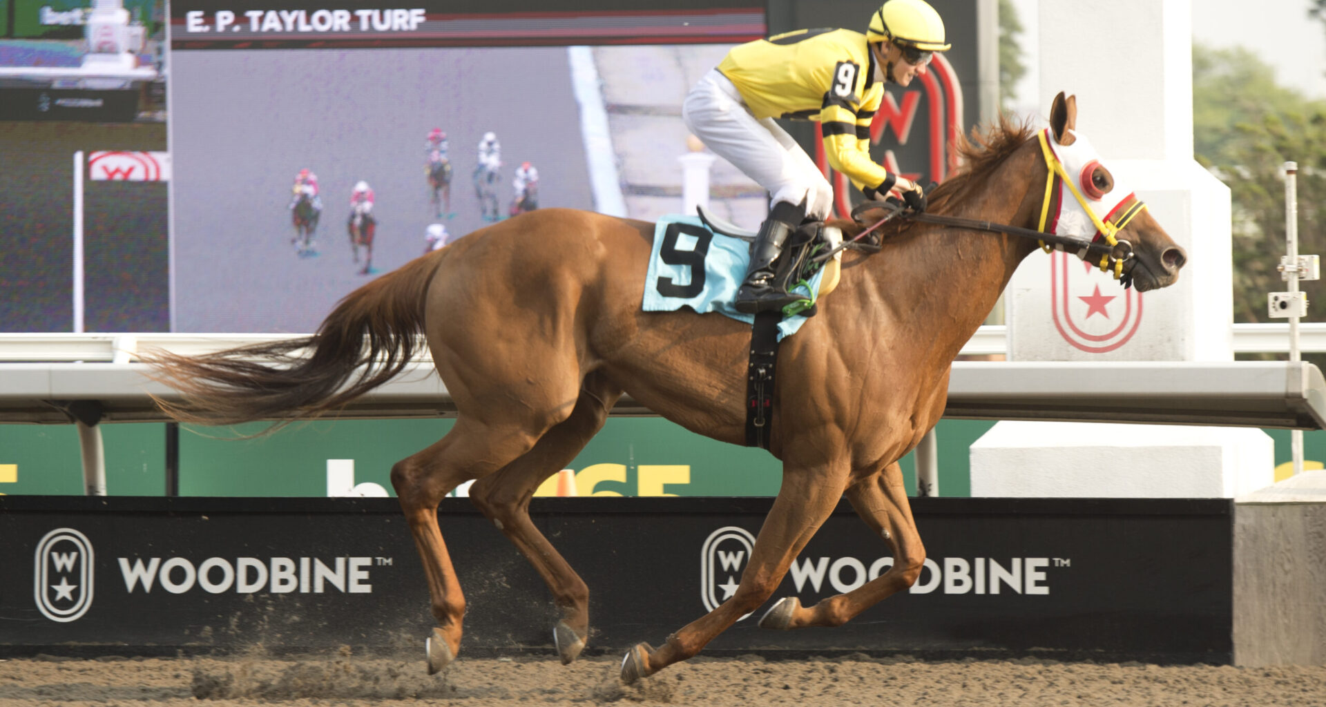 Deputy Daddy wades into Lake Superior in top form / Wozniacki looks to come up aces in Thunder Bay  