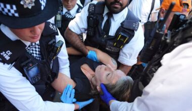 UK police detain dozens at London protest against Palestine Action ban | Israel-Palestine conflict News
