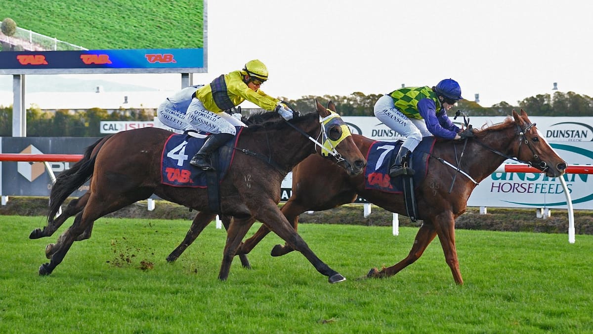 Caitlyns Wish wins Group 1 Turf Bar Sprint at Te Rapa