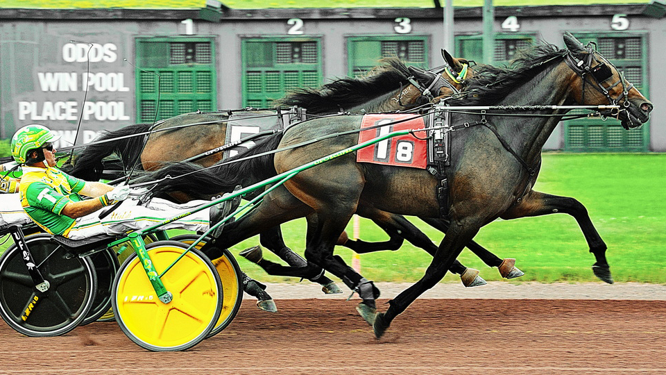 Freshman fillies spar in Pocono All-Star splits – U.S. Trotting News
