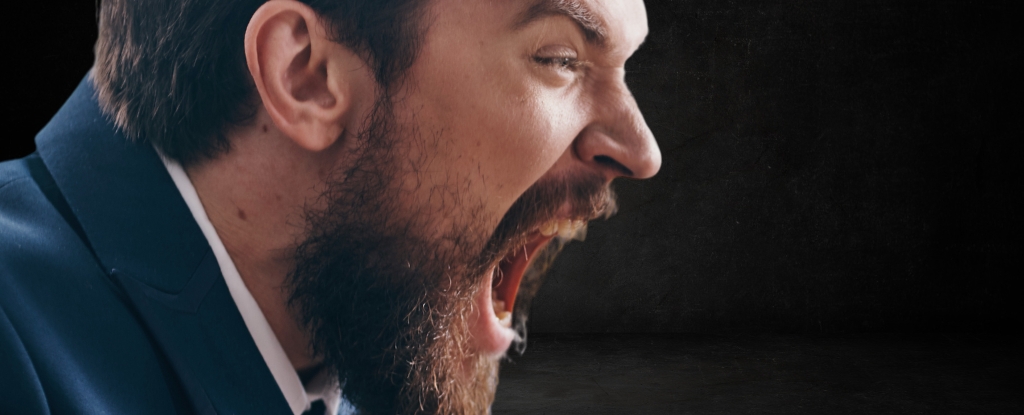 One Dietary Supplement Shown to Reduce Aggression by Up to 28% : ScienceAlert