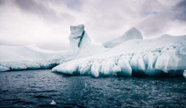 Antarctica's Ocean Is Getting Saltier The End Of Sea Ice