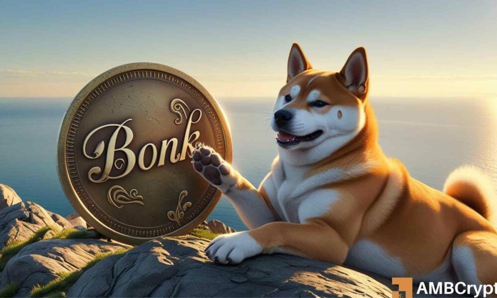 Burns, adoption, and how BONK's price might hit new price levels soon