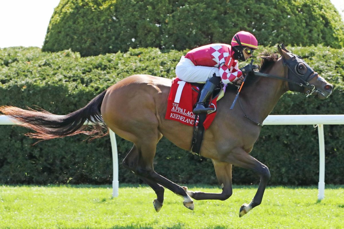 Belmont, Iowa, Indiana derbies mark July Fourth weekend horse racing
