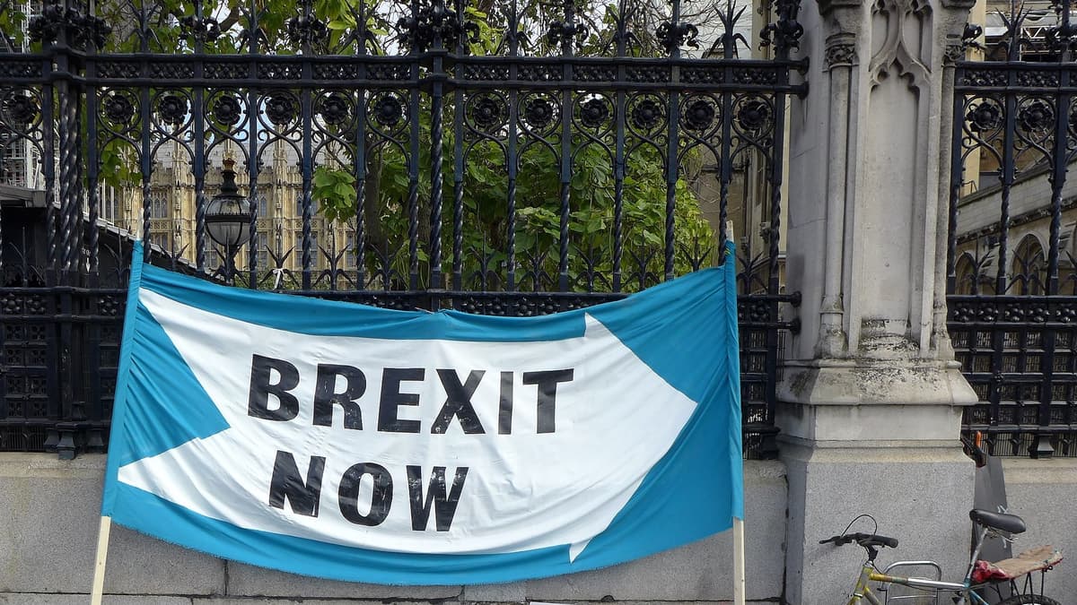 John Howells: Return to Brexit