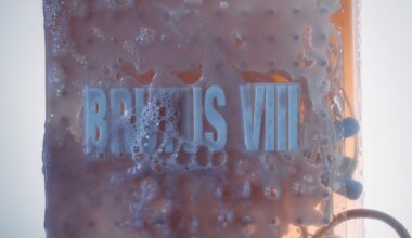 Brutus VIII: Do It for the Money EP Album Review