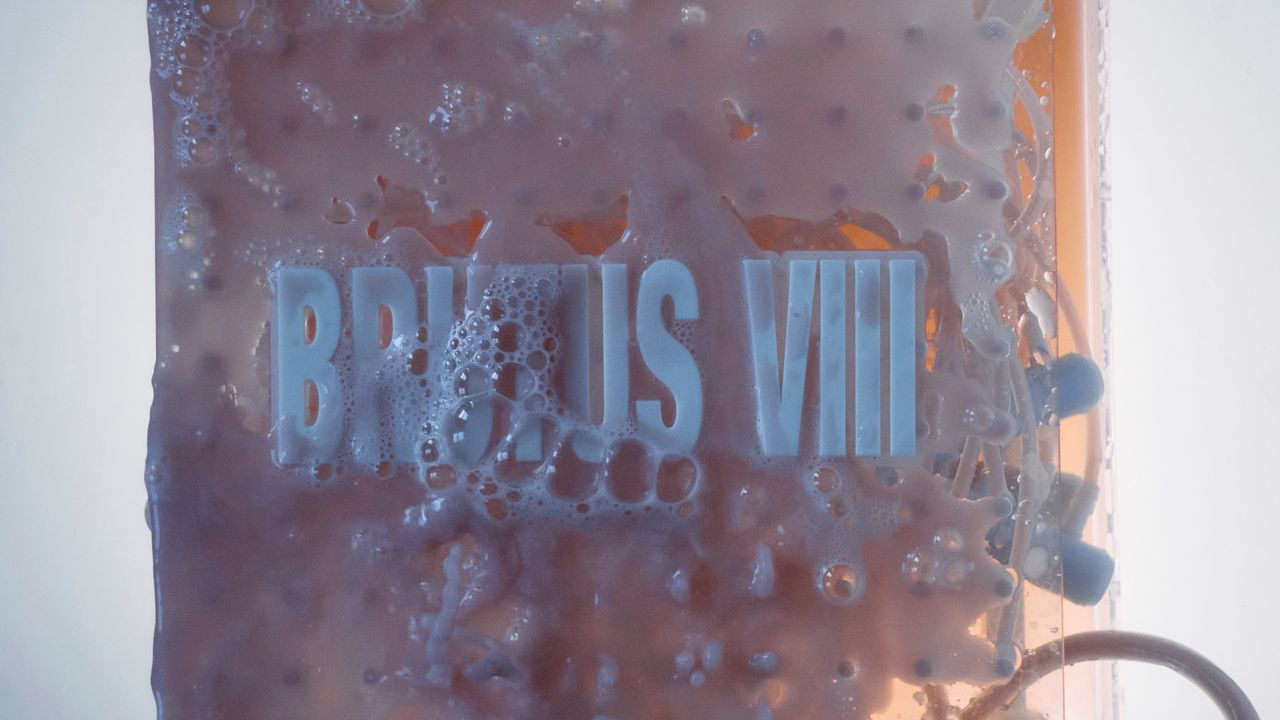 Brutus VIII: Do It for the Money EP Album Review