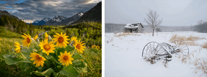 A split image: Left side shows yellow wildflowers in a green valley with mountains and cloudy sky; right side shows a snowy field with an old barn, a leafless tree, and rusty farm equipment.