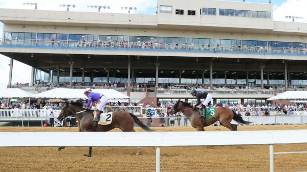 Using the Cutback in Distance Angle for Star de Naskra Stakes at Colonial Downs