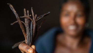 How the climate crisis and aid cuts could devastate global supplies of vanilla