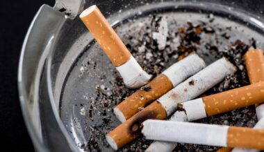Recycled cigarette butts can make roads more durable