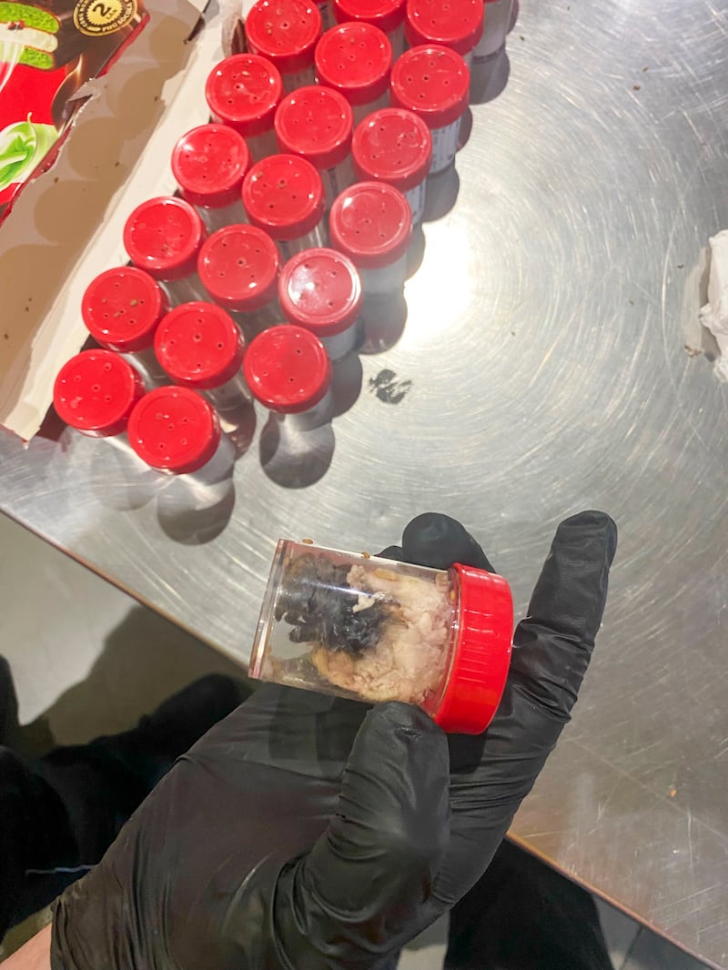 Plastic containers holding young tarantulas (Haupzollamt Koeln via AP)