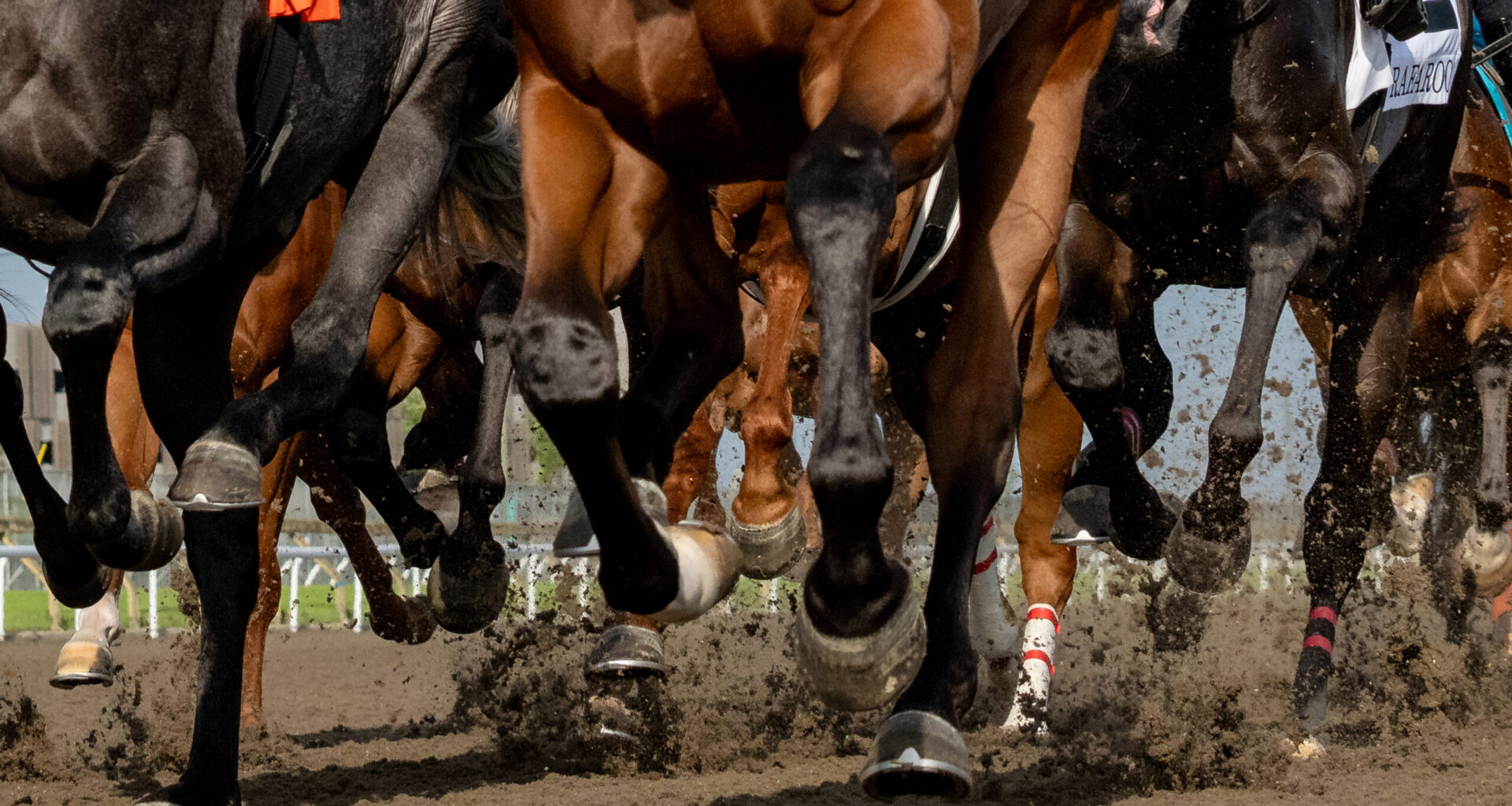 INSIDE THE NUMBERS: How to Best Bet a Pair of Grade 1 Stakes Races at Saratoga on Friday & Saturday with handicapper Ed DeRosa