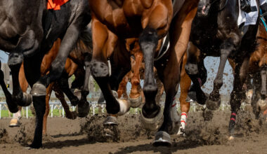 INSIDE THE NUMBERS: How to Best Bet a Pair of Grade 1 Stakes Races at Saratoga on Friday & Saturday with handicapper Ed DeRosa