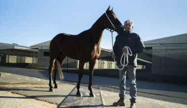 McColm not taking it easy for Glasshouse Handicap :: Racing Queensland